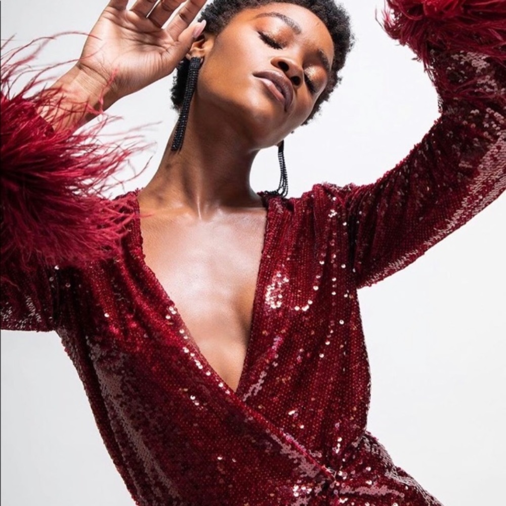 NWT Zara Limited Edition Sequin Dress/Robe - Picture 6 of 16